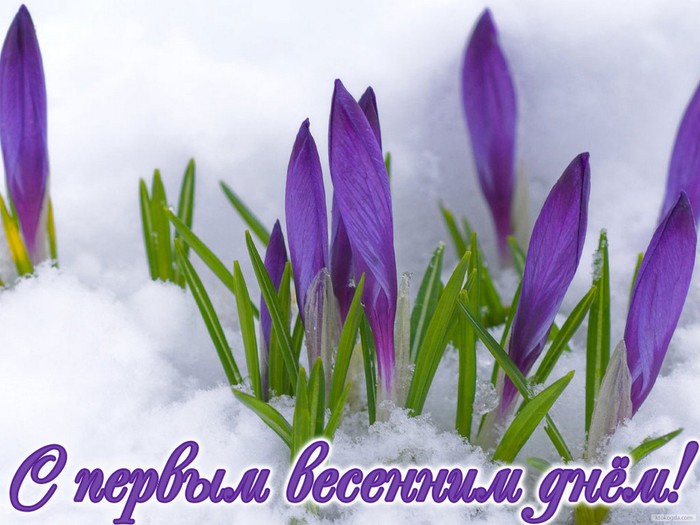 3470549_vesna_pe (700x525, 84Kb)