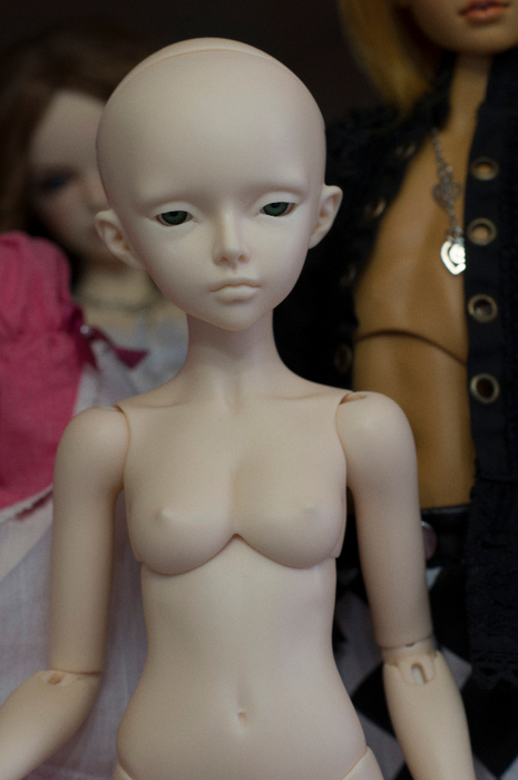 DSC08067 (465x700, 271Kb)