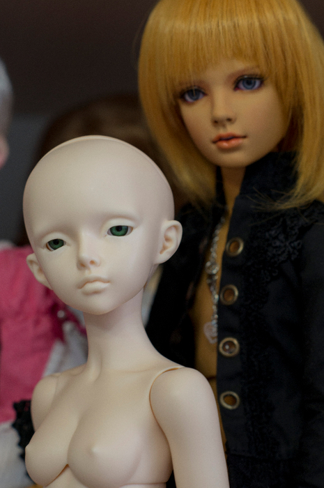DSC08091 (465x700, 293Kb)