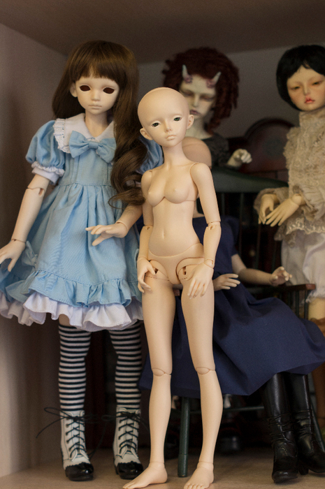 DSC08101 (465x700, 372Kb)