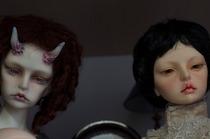 DSC08069 (700x465, 263Kb)