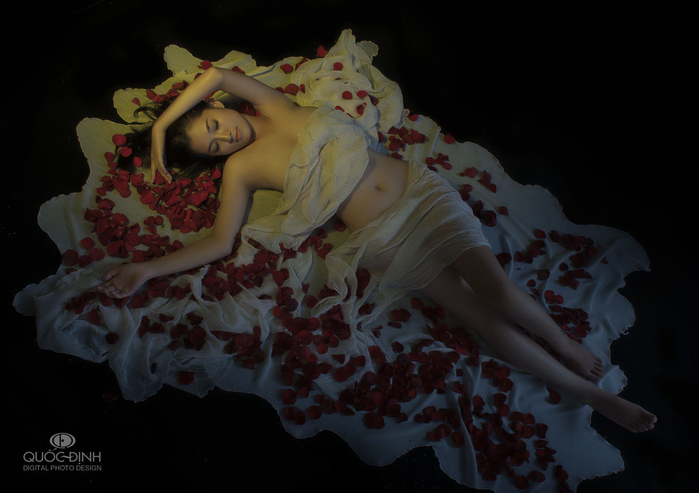 dream_rose__by_duongquocdinh-d4y60g9 (700x493, 242Kb)