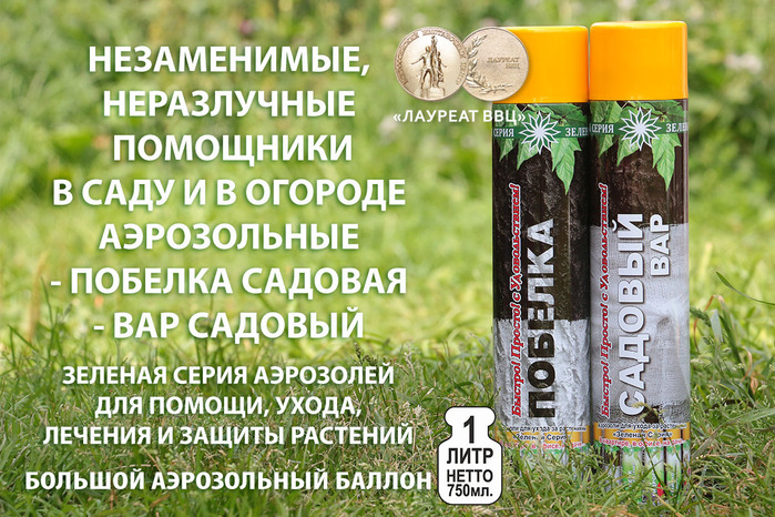 цветов, удобрение, аэрозоль для цветов, комнатных растений, комнатное растение, комнатные растение, комнатные цветы уход, комнатные растения и цветы, комнатный цветок, комнатные цветы и растения, для комнатных растений, домашние растения, растения для офиса, цветы в горшках, цветы в доме, домашние цветы, цветы для дома, цветы домашние, озеленение офиса, комнатные растения уход, почва, грунт, земля для цветов, торф, минеральные удобрения, какие удобрения, куплю удобрения, удобрения купить, фосфорные удобрения, гербициды, удобрения для цветов, цветы удобрения, подставка для цветов, горшки для цветов, подставки для цветов, цветы комнатные, комнатные цветы, /3041158_IMG_2905_1 (700x466, 191Kb)