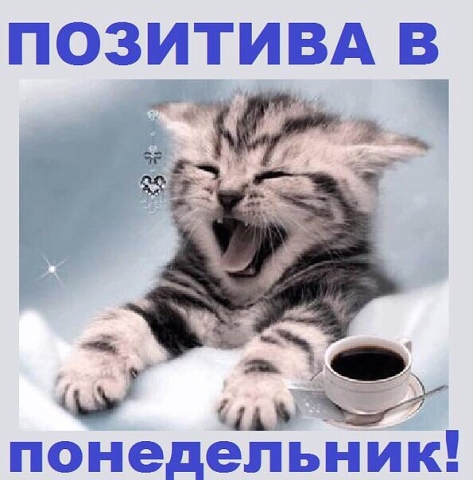 лёгкого понедельника фото онлайн лёгкого понедельника фото