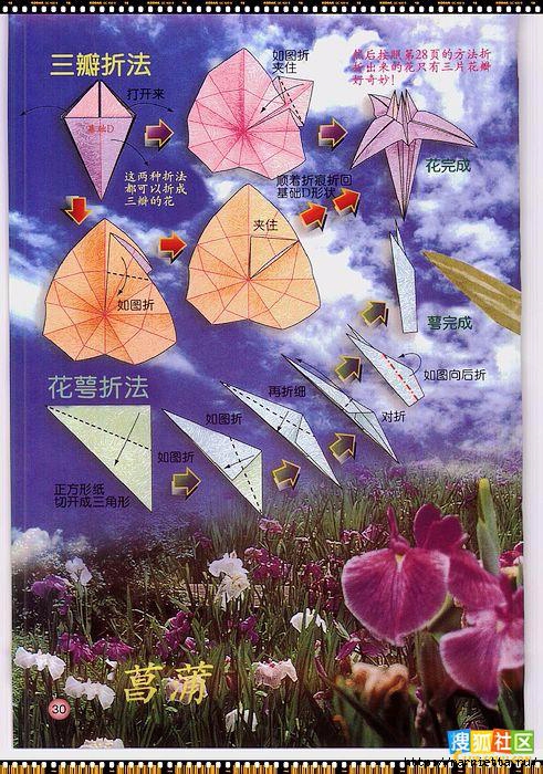 Цветы из бумаги в технике оригами (24) (491x700, 324Kb)