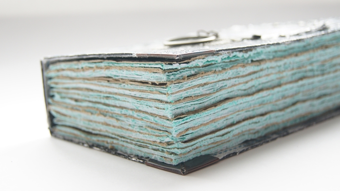 DSC04262 (700x393, 151Kb)