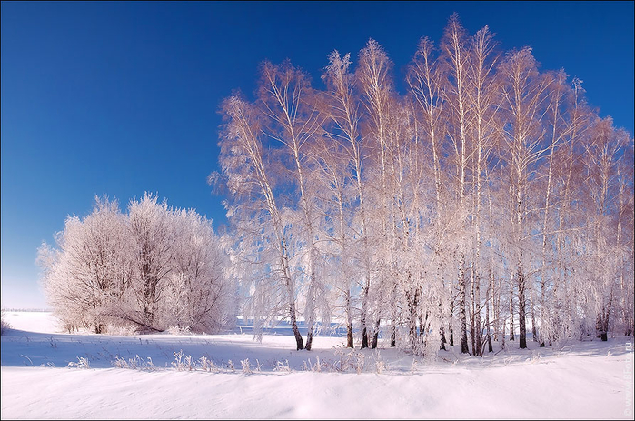 1 (700x463, 389Kb)
