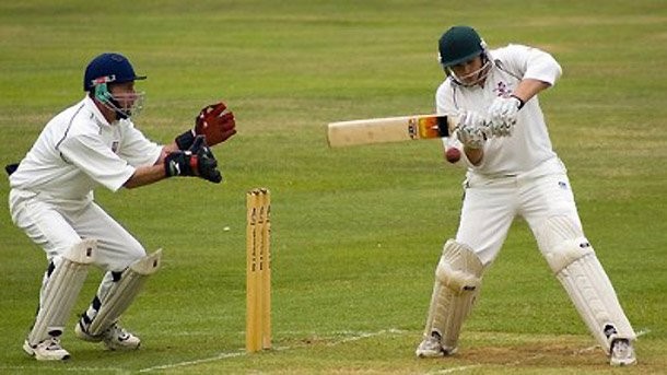 5420033_cricket205d (610x343, 57Kb)