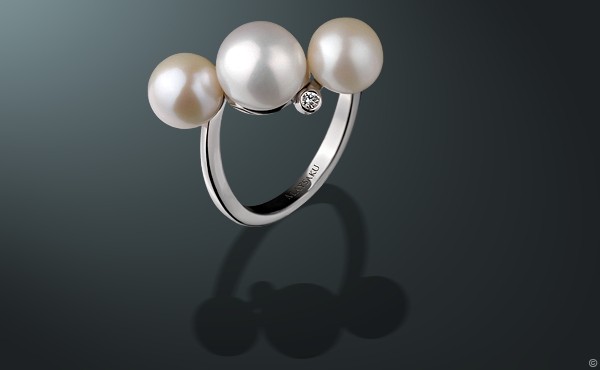orig_1288333781_ring_600_big (600x370, 17Kb)