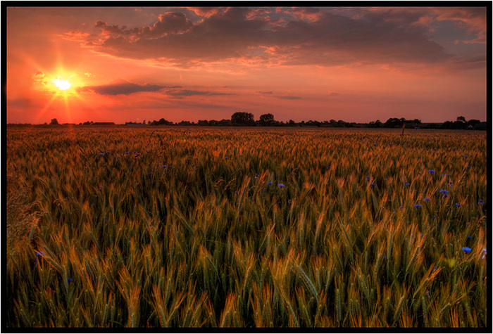 (700x475, 188Kb)