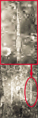 (161x500, 41Kb)