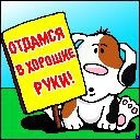  (128x128, 12Kb)