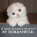  (128x128, 15Kb)