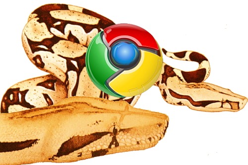 (500x333, 46Kb)
