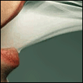 1222114110_afef4d19d5d45c47af255a99f4bd31b7 (120x120, 39Kb)
