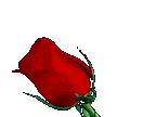  (144x108, 20Kb)