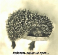 (200x189, 25Kb)
