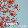  (100x100, 39Kb)