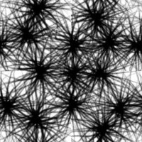  (200x200, 17Kb)