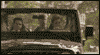  (100x55, 35Kb)