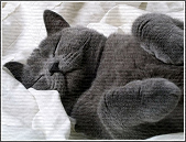  (169x129, 45Kb)