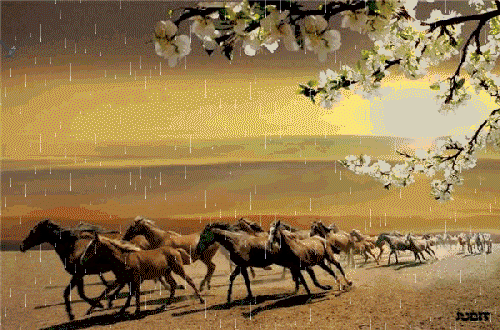 http://img0.liveinternet.ru/images/attach/c/0/35/238/35238612_2ede40fc7995.gif