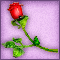 tks_gift_unique_20071106_1 (60x60, 3Kb)