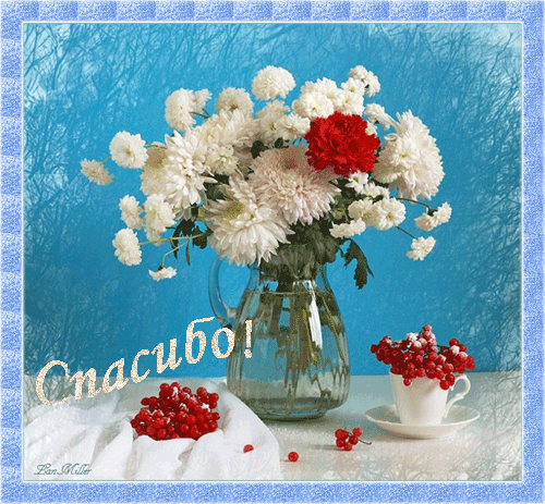 Замороженные ягоды. Замороженные ягоды.