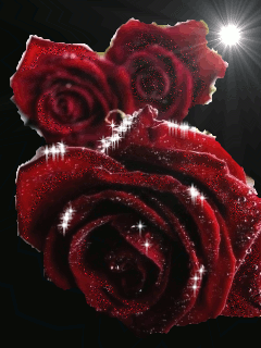  (240x320, 93Kb)