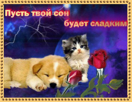  (450x349, 1122Kb)