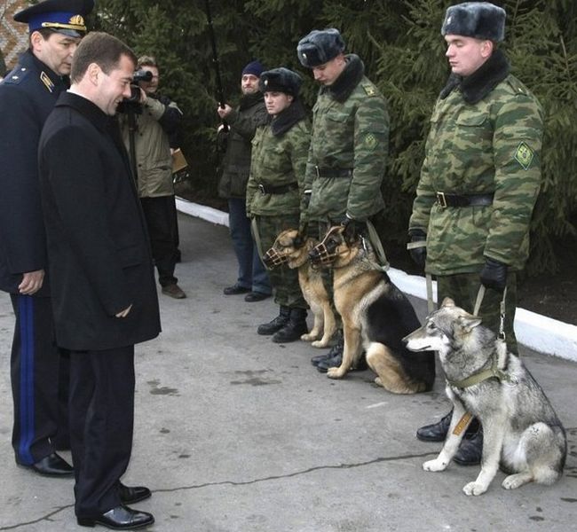 Новости новокузнецка сегодня