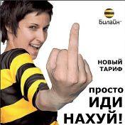 билайн_новый тарифный план