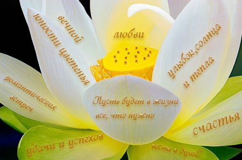  (500x331, 99Kb)
