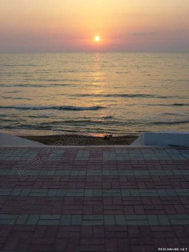 (375x500, 20Kb)