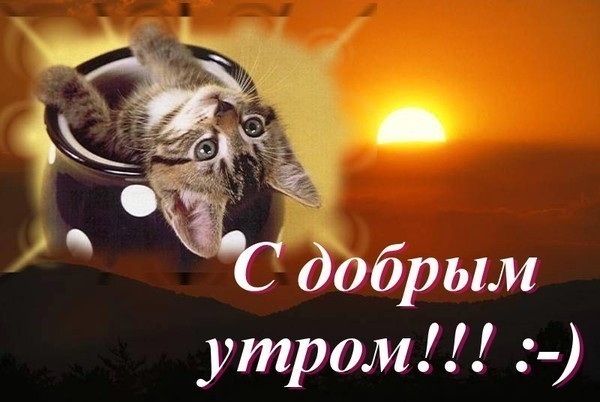  (600x402, 123Kb)