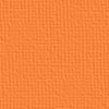 fly-orange17 (100x100, 2Kb)