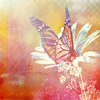 butterfly (100x100, 15Kb)