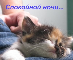 http://img0.liveinternet.ru/images/attach/c/0/38/660/38660168_1.jpg