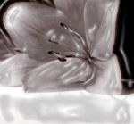  (150x139, 67Kb)