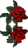  (95x160, 40Kb)