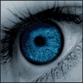 (120x120, 11Kb)