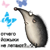 (100x100, 13Kb)