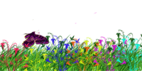  (200x100, 96Kb)