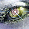  (100x100, 17Kb)