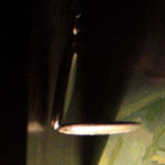 50d 1600 raw