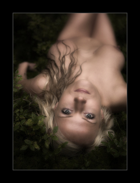 (491x640, 127Kb)