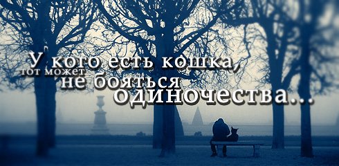  (490x240, 41Kb)