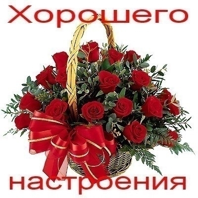http://img0.liveinternet.ru/images/attach/c/0/40/95/40095045_pppppppp_pppppppppp.JPG