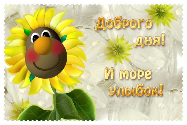 Открытки с улыбкой на весь день 662