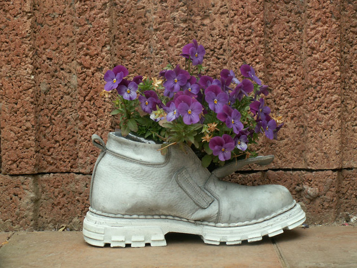 Кашпо для цветов из старой обуви!
